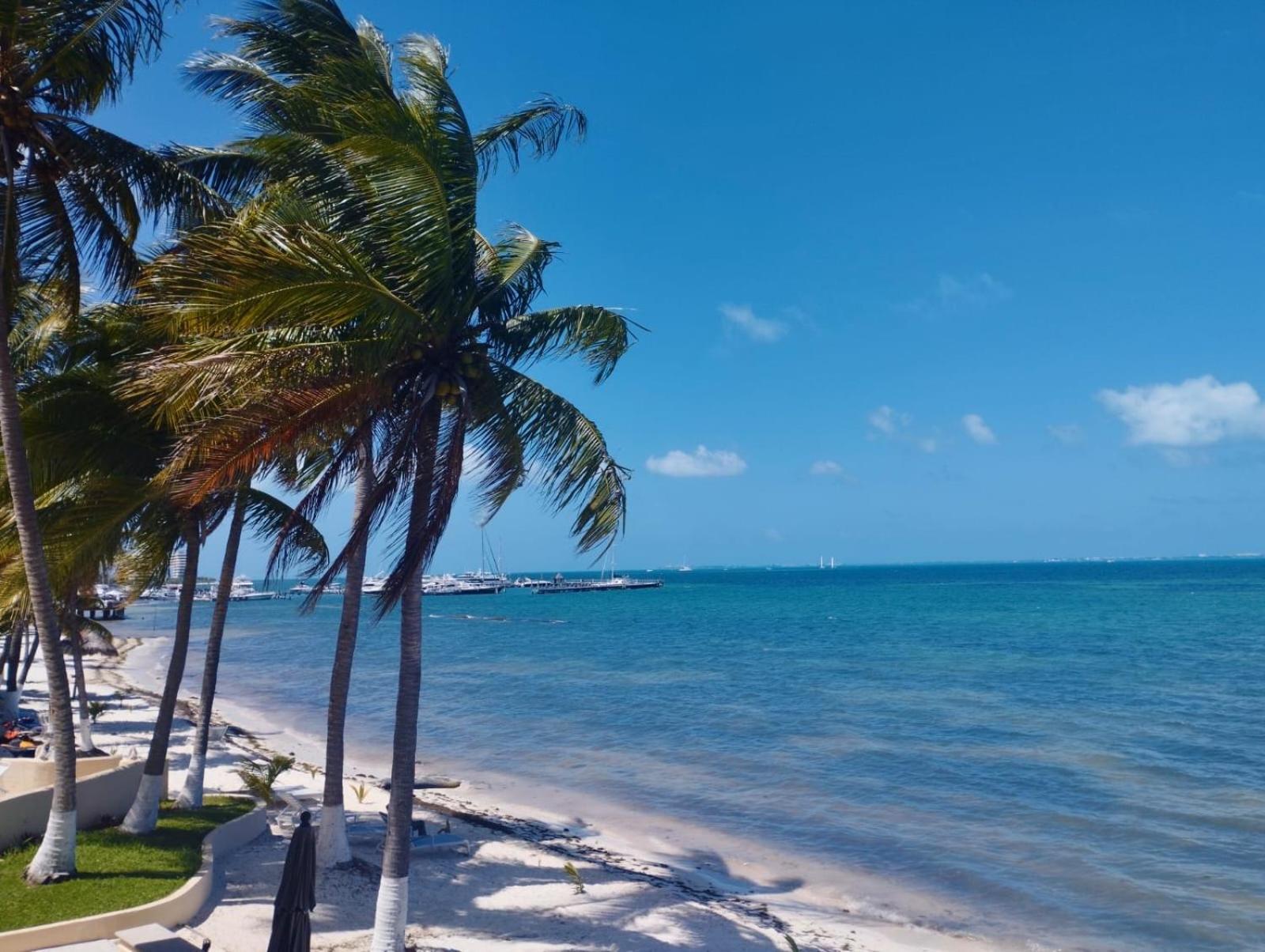 Cancun Ocean View Playa Del Nino Bilik gambar